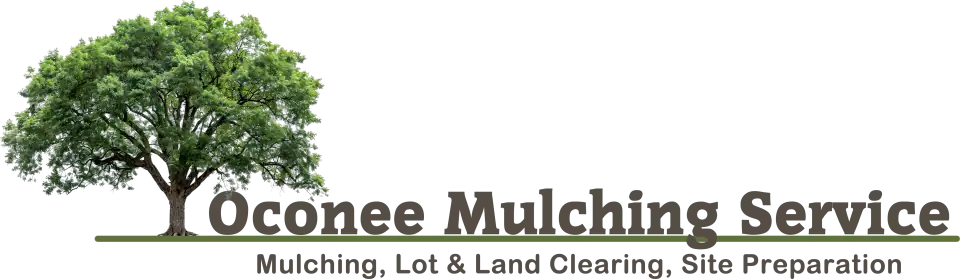 LOGO01